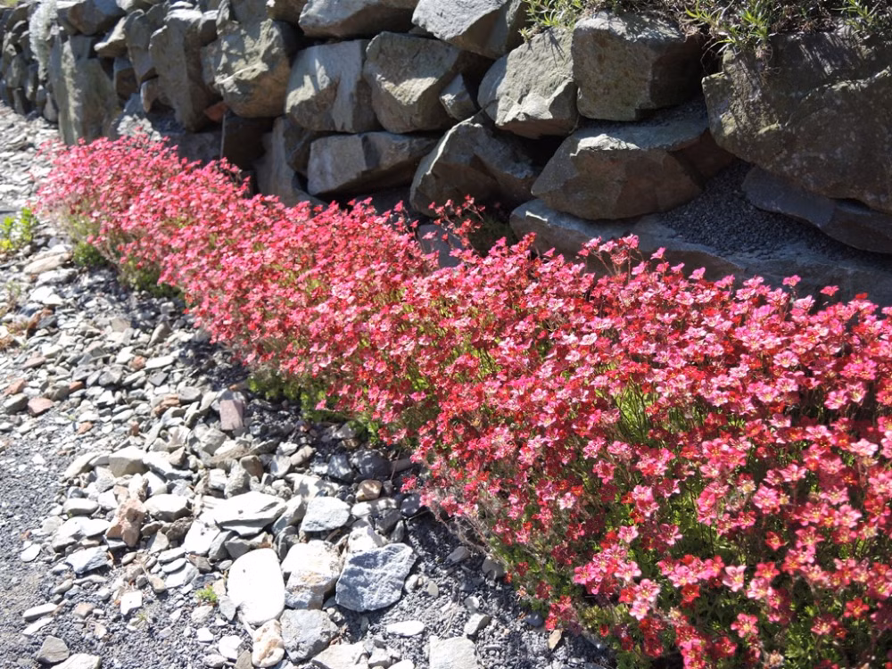 cb6c4ee2d6948f4ffc45e39cc39160e9