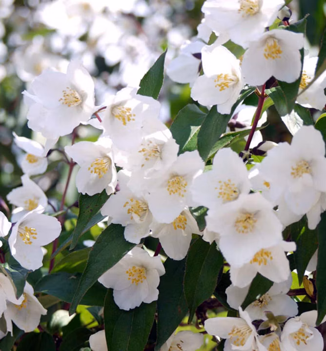 cb7f08b13f72887d9b7788d8d3020aa5