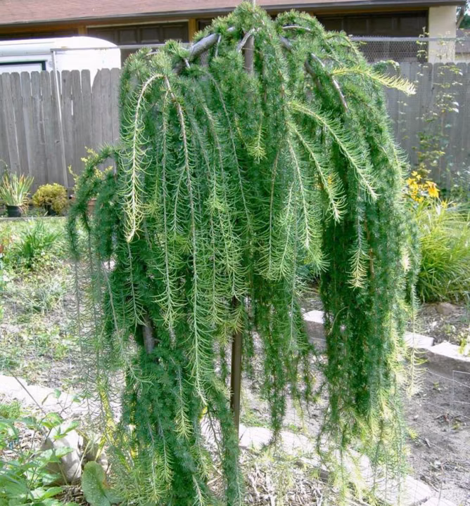 cc0499406f63b560cda5fcda38660182