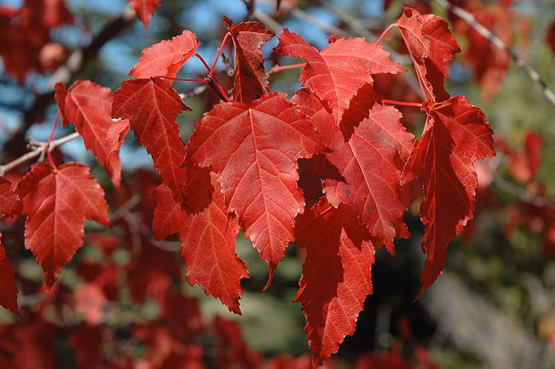 cc27e478ad7d78f637007b18da9c7b9a