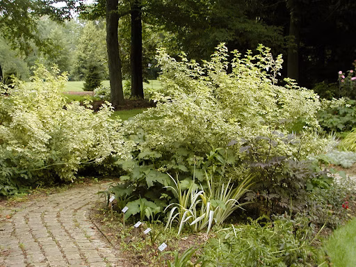 cc288e82f63dfb79bc855cca1465d272