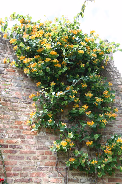 cc4decc319b3fb73d6c2ed5221dcef89