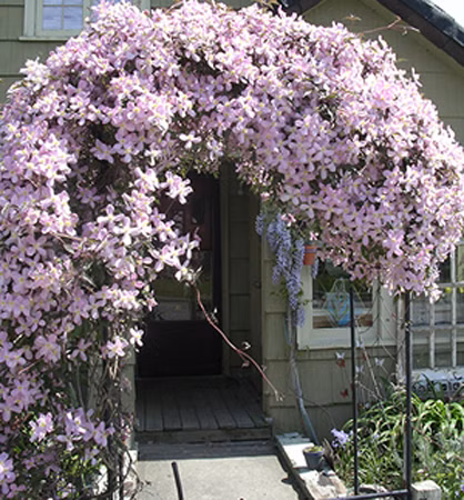 cc539b81c4c21247bcfaafff8821c674