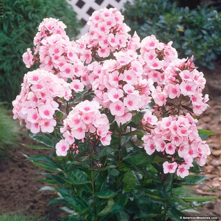 cc6d105f5b2ae84b4d882f8212220484