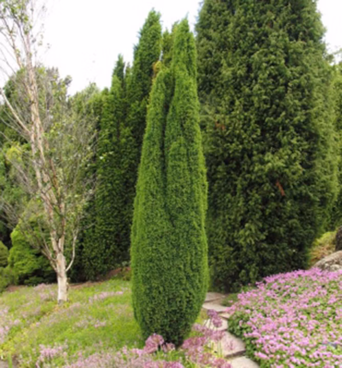 cc71ad97dcc0873f655dfc49eb872f18