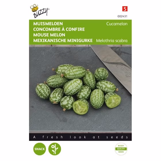 cca4c631ce3246b0463d5beb3981a098