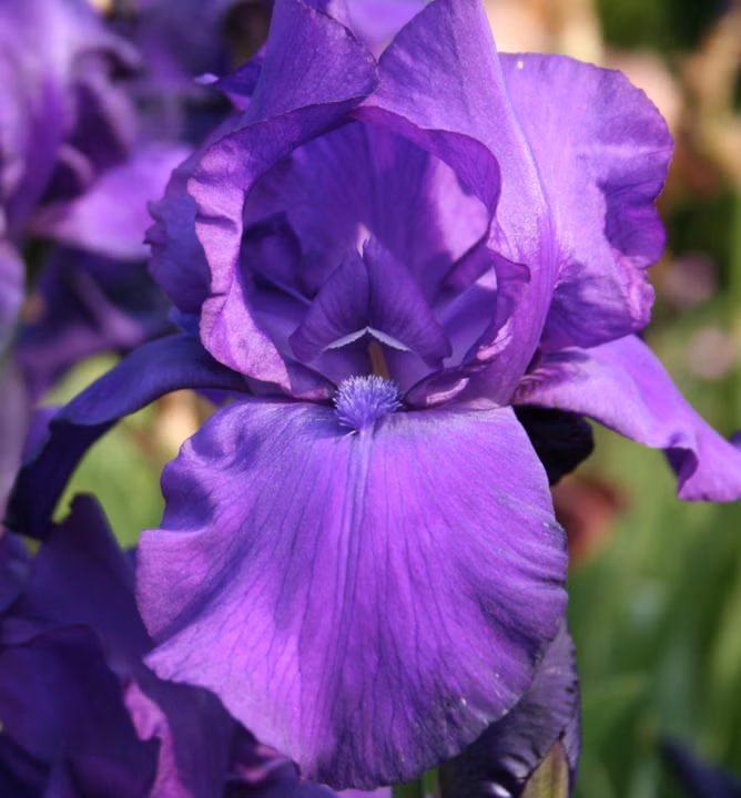 cce205fdbeb8b5bfc2ea519b5f72b8f5