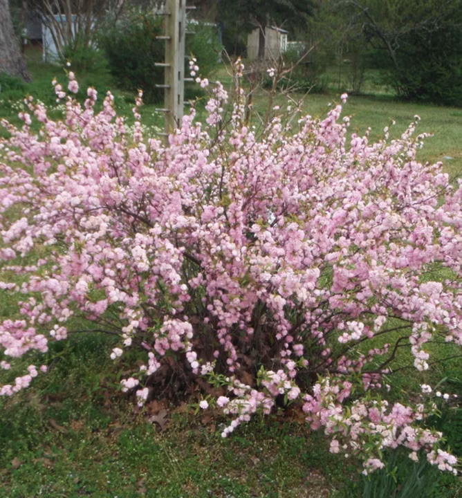 cd066c65432f963cbe635f68f6892a35