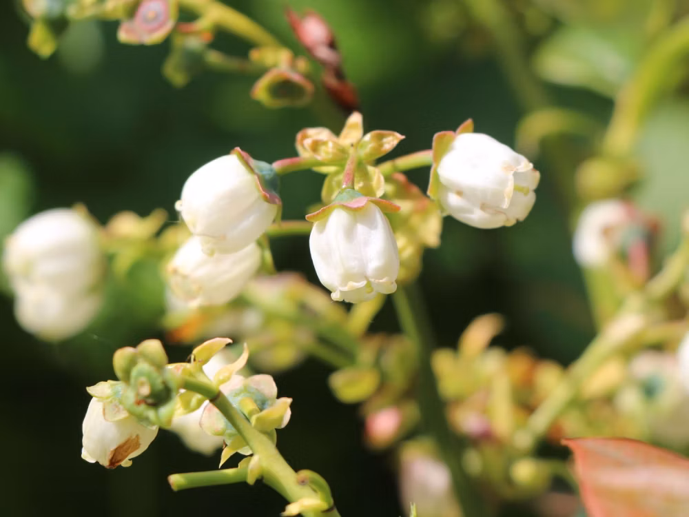 cd129647c76af8a66d7d6b40abf7f5ec