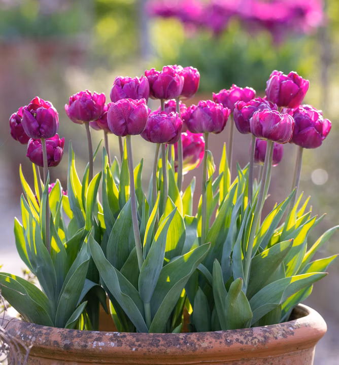 cd18486f5d8463bc8fc03fc5210cb2c7