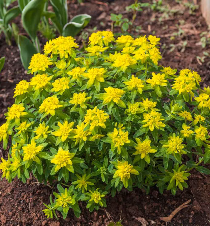 cd1860facb7bf9a61fda51a9fbc4a898