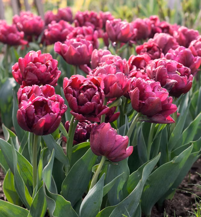 cd1e68fd7e2528379262894cdeccbab1