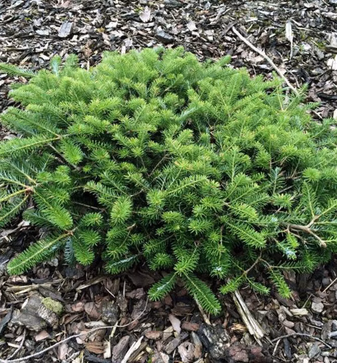 cd3045883d89f3957c1080013722ce47