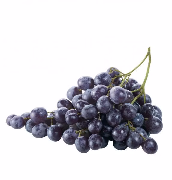 cd53325466cd2e184e374e69a5f3a931