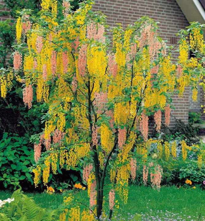 cd68bc021a99db17335f9314c7f42c77