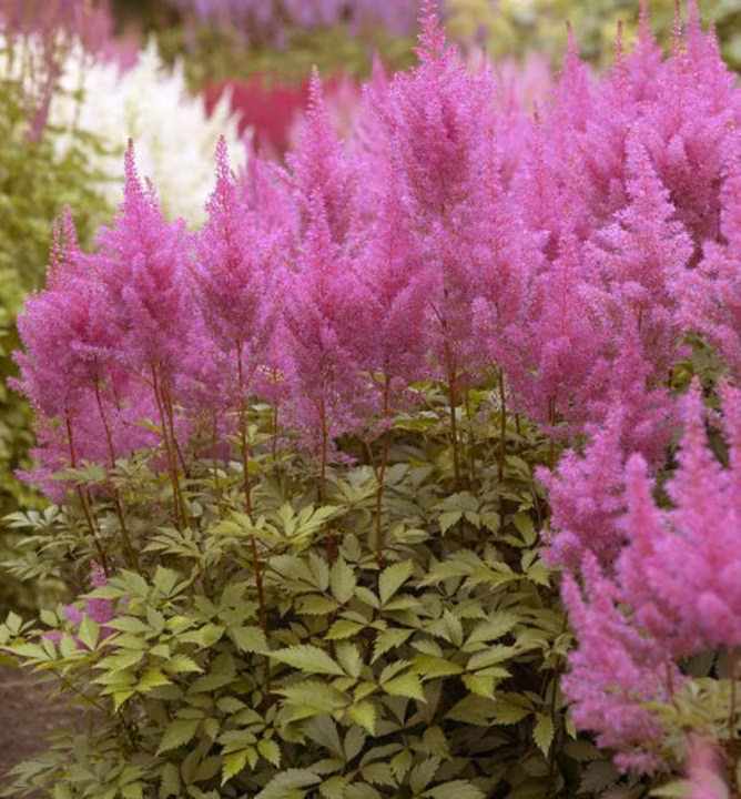 cd79aad2dc366404e8e16100670a6d82