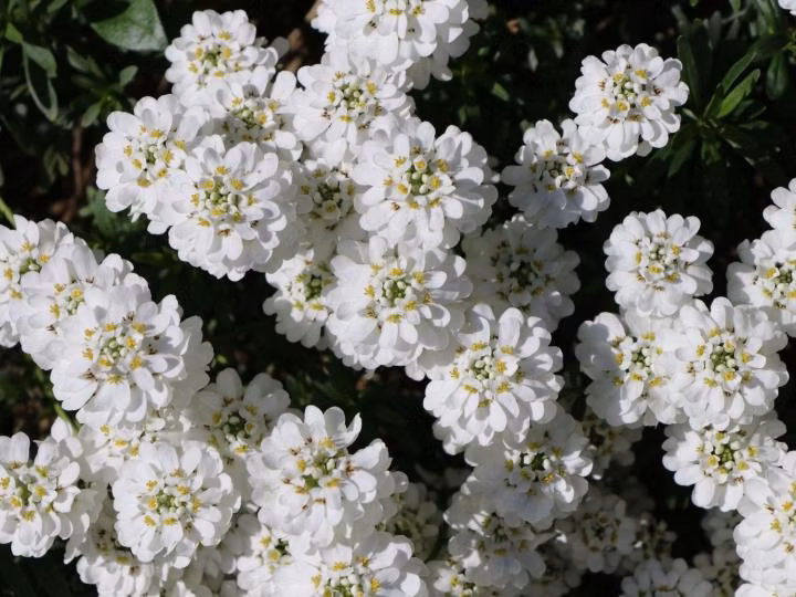 cd874cbbcd64c692338788b549750d26