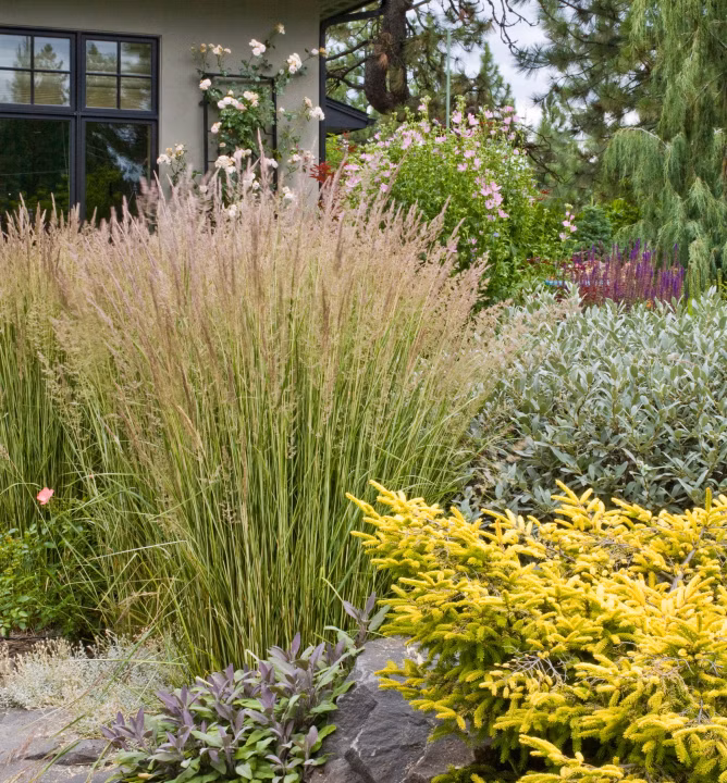 cdad6931ac8e433c382d434c0403654c