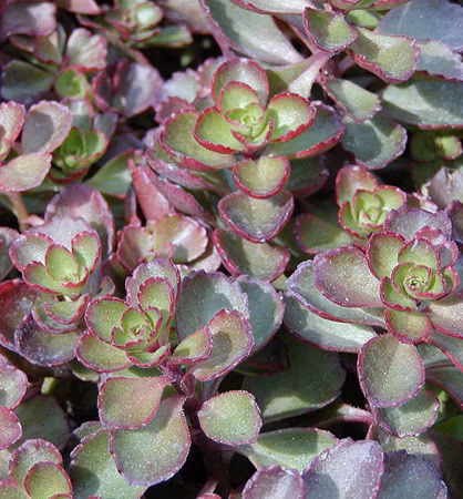 cdbe97e1caaed9211e98f0ad5783a9fc