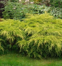 cdc4caa2f19f83eff75d6d7cd9c1170a