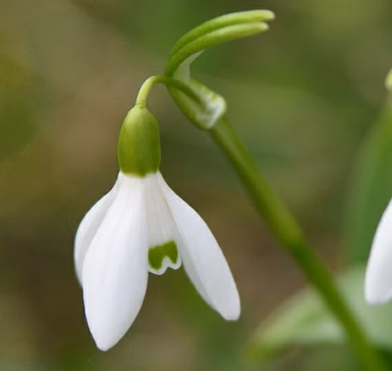 ce05493b682177553d9a5712e09bee52