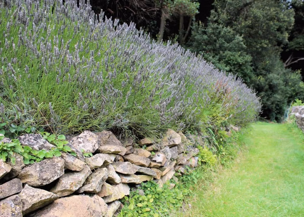 ce2857f858670262ded6b5c98fc78892