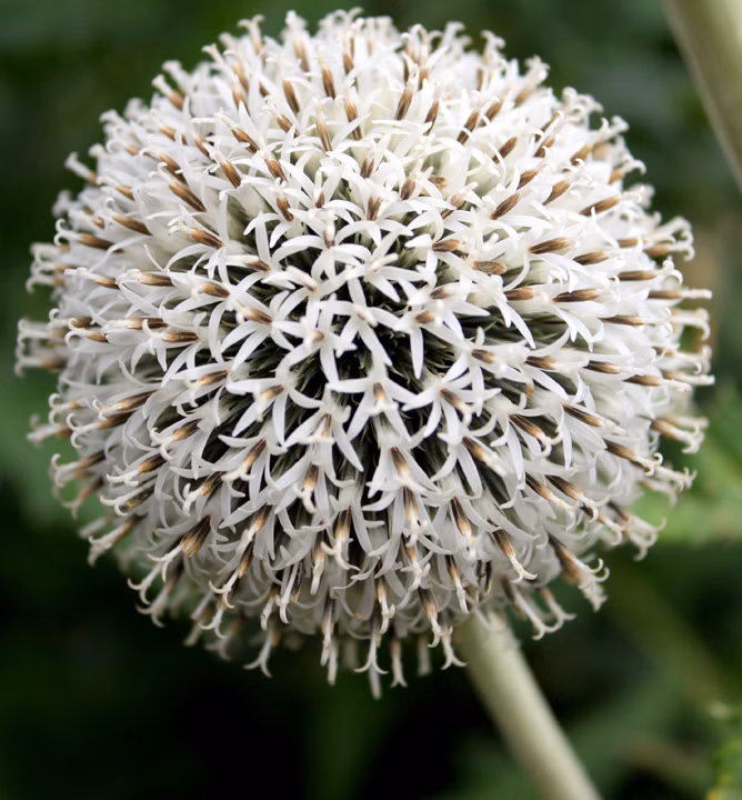 ce3d57286100e91f2795d8a37c25a40a