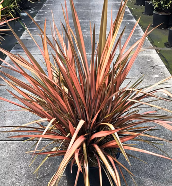 ce74c594e79992a7edca0cbd06b5e853