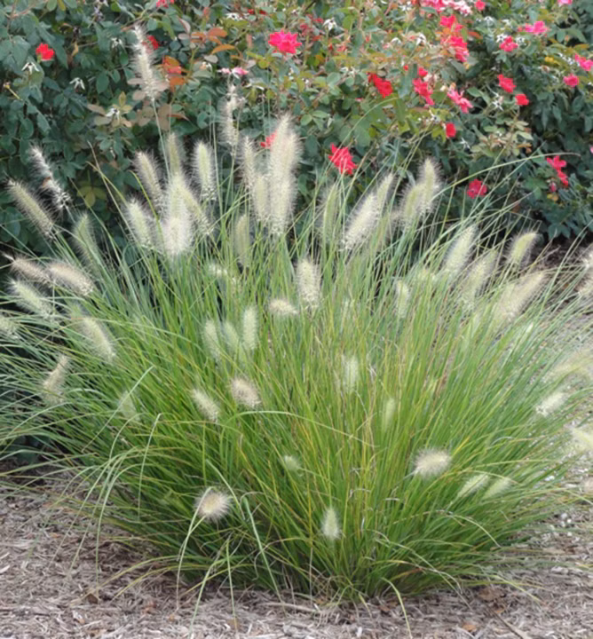 ce8668fb237f1a1bc6c742c4f13023d7