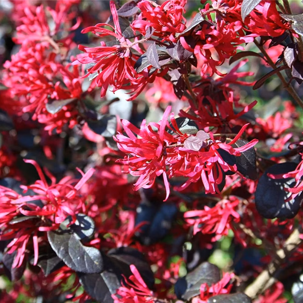 ce9eddc1b53da755ab64083cf5f92f28