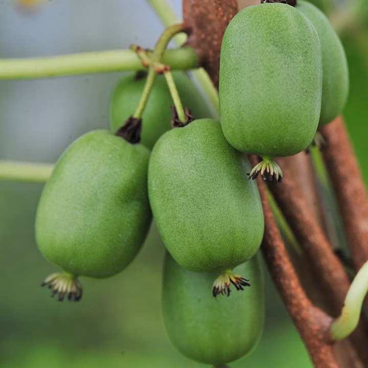 cea5e9fc9521e0a235f1386d13126667