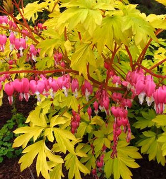 cea83a407e652b940db84e3e9122a312