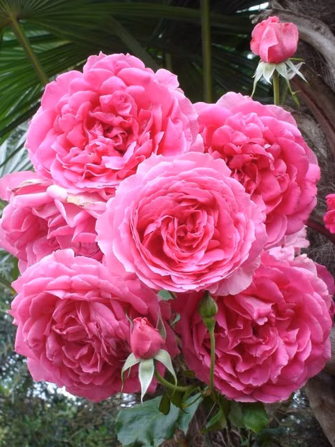 cf3adcf20ecff817108f1746d606583a