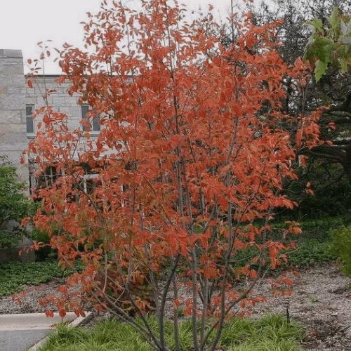 cfa313563c90db62b4b6a69dd3890212