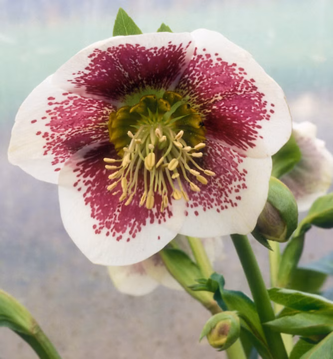 cfb2a3364be9eb678422b554cbc35220