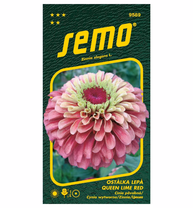 cfb3c7a88eef37ba91528e994aaabefd