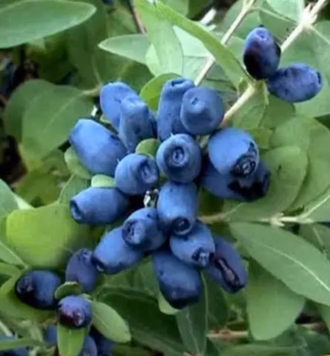 cfd3e3995589f647591effc236d70a87