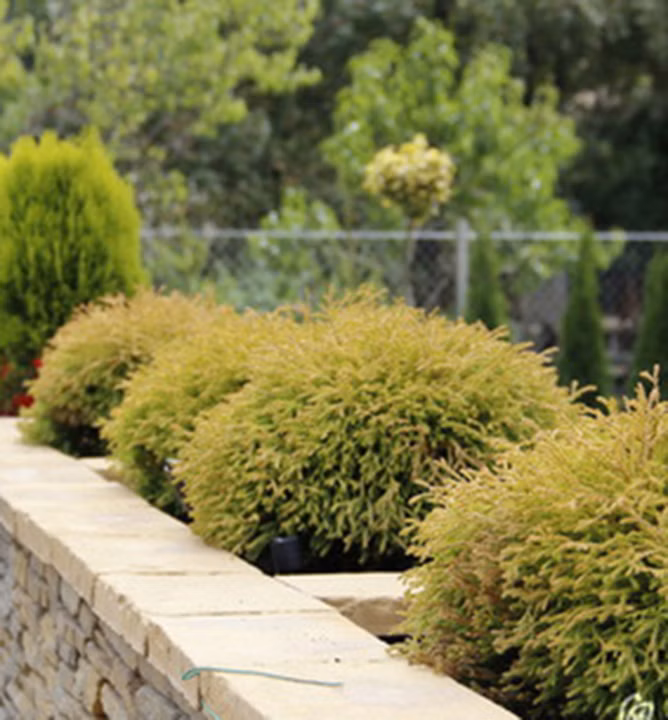 cfe0acd2235da938d1101bf7ade8eaa1