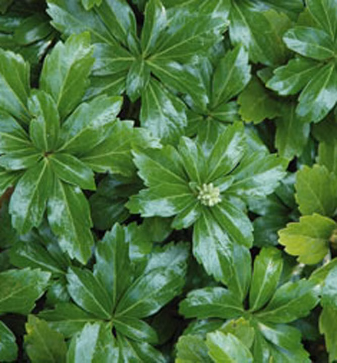 cff57b378dca03585bf1c65313683e99