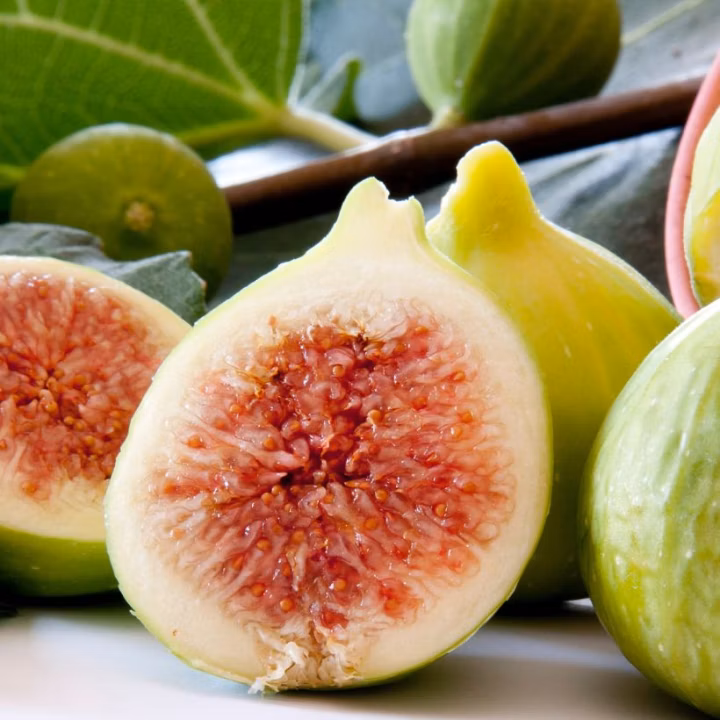 cffc9bea4324c99e7299194db1b8b7d7