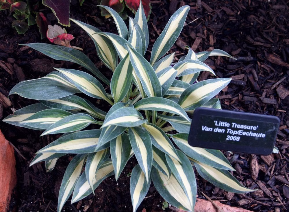 d01c96b96c4c6437e6877e2819606a8b