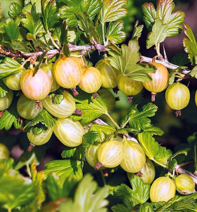 d055753a1afde2b9d449e4de99f5a506