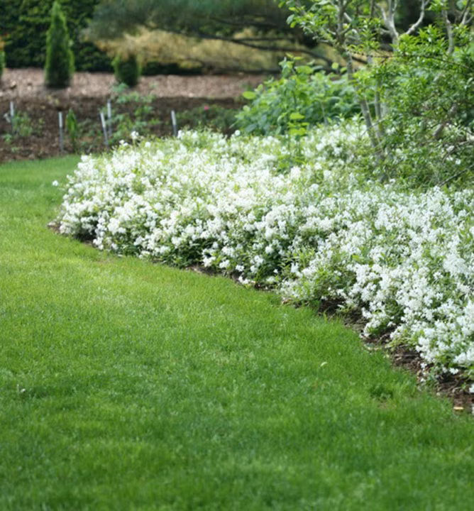 d06d66e72857b8468f7cf38e9672ed80