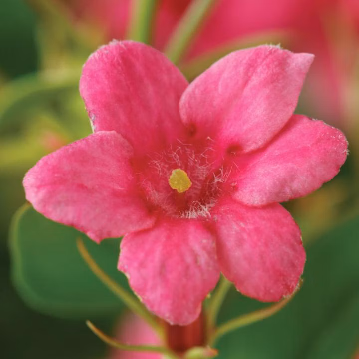 d073150bc23c82f01331a429d01d1417