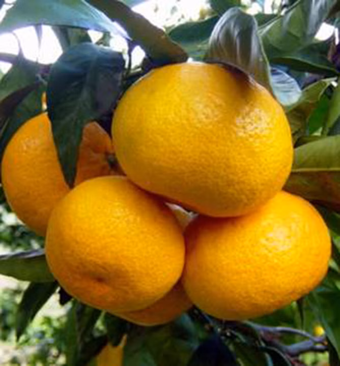 d0c769bfc1fd7af1049cb5dae63b9a36