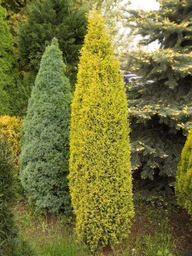 d0d01cdaac470a043bb62cce5088dca6
