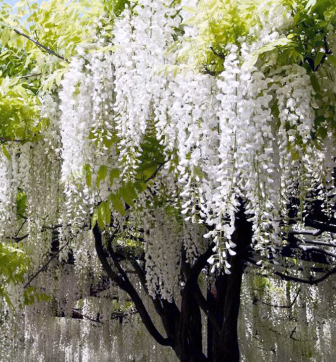 d0d83af89c8bd944e23c41f899774080