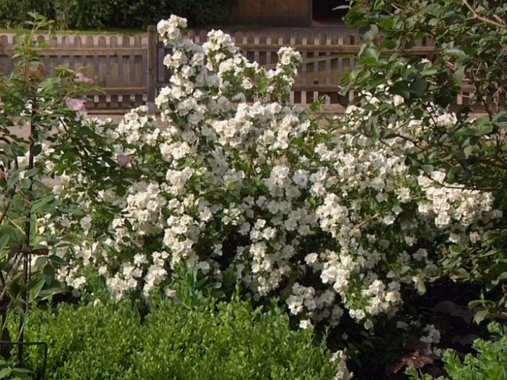 d0e42d84807518321358eea0b1bcd8ed