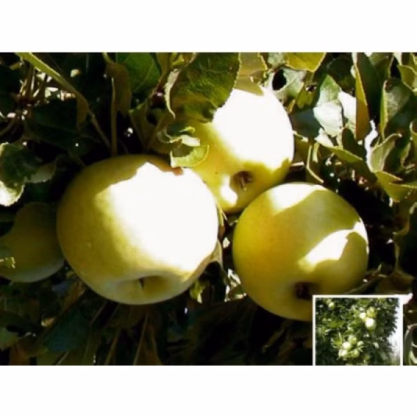 d0ffd8376df9e69ab268f027151e105e