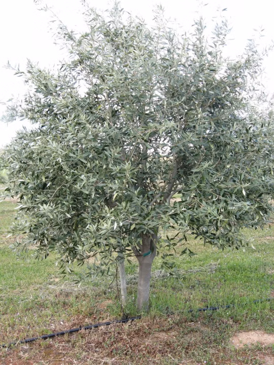 d149b82d7ef98dc6fafc5de90c4a8519